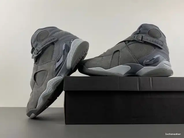 Reps LUCY 8 Retro Cool Jordan Grey 305381-014 0521